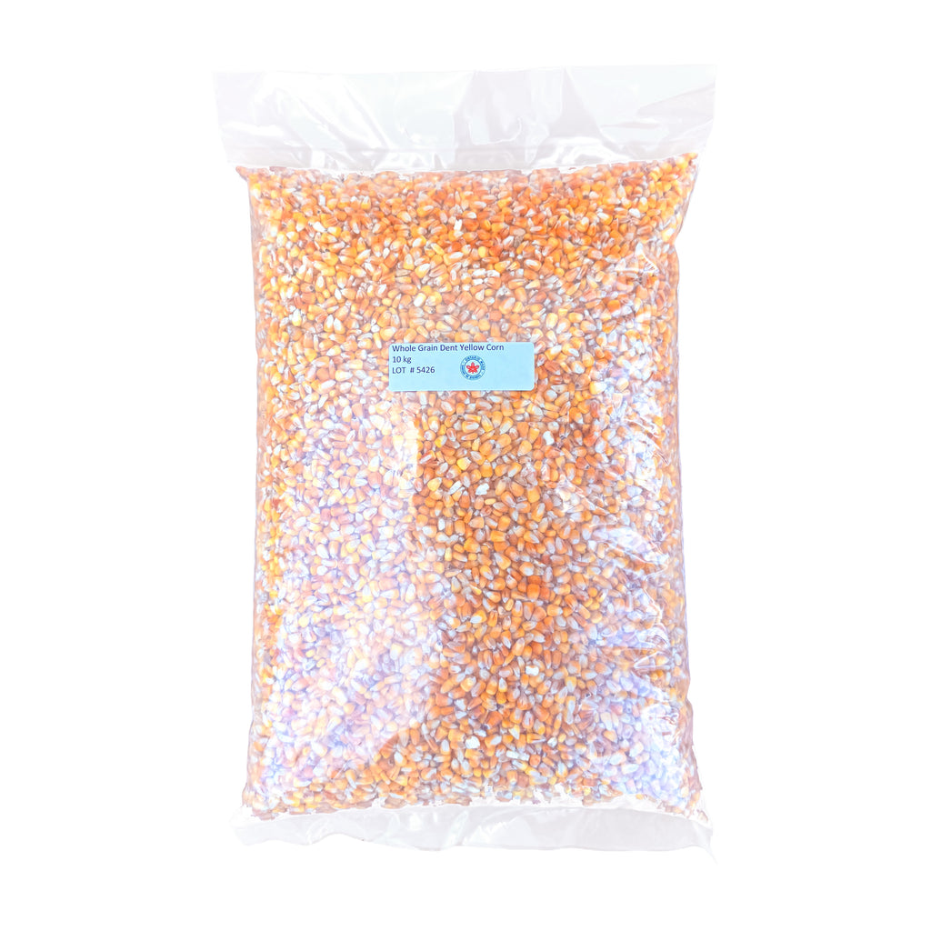 Whole Yellow Dent Corn