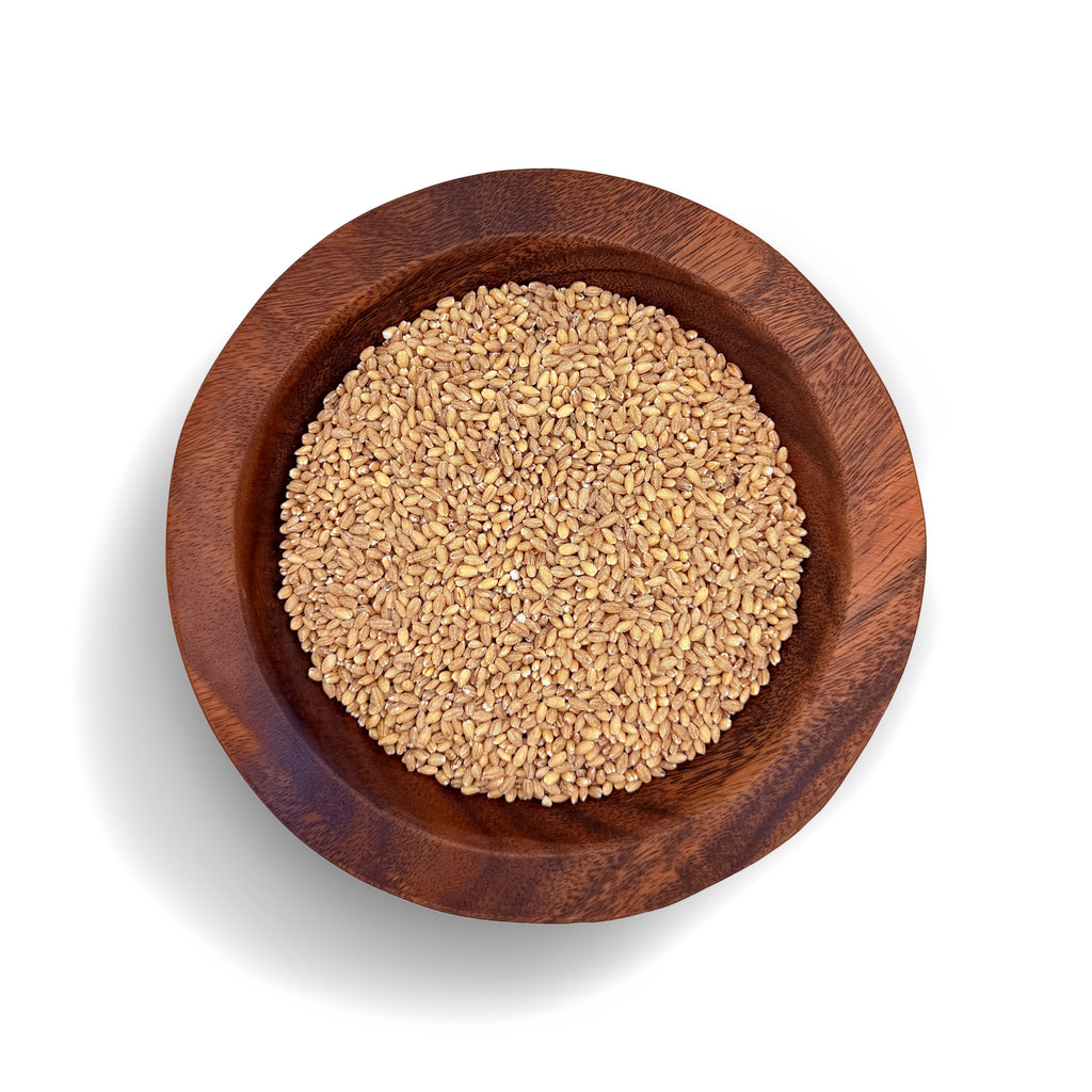 Whole Grain Dehulled Barley