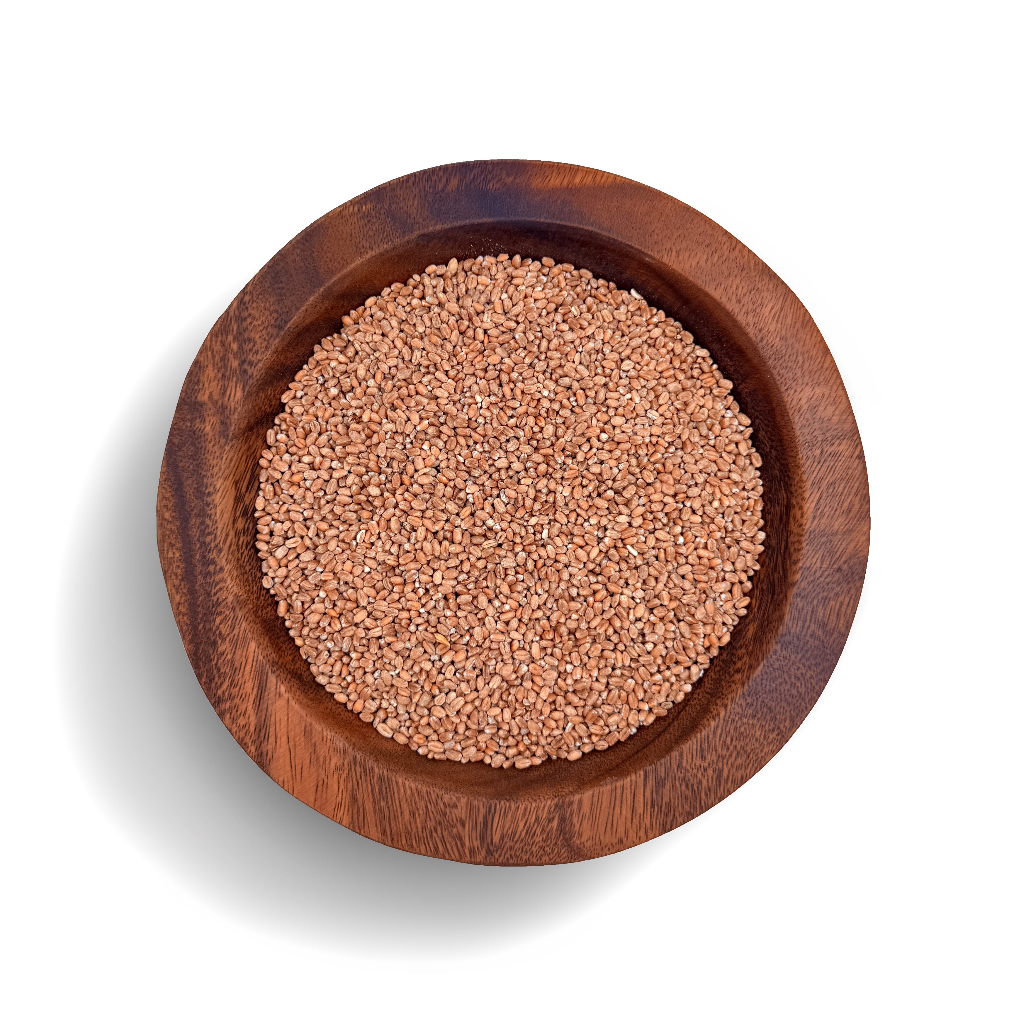 Whole Grain Red Fife Ancient Wheat [Organically Grown]