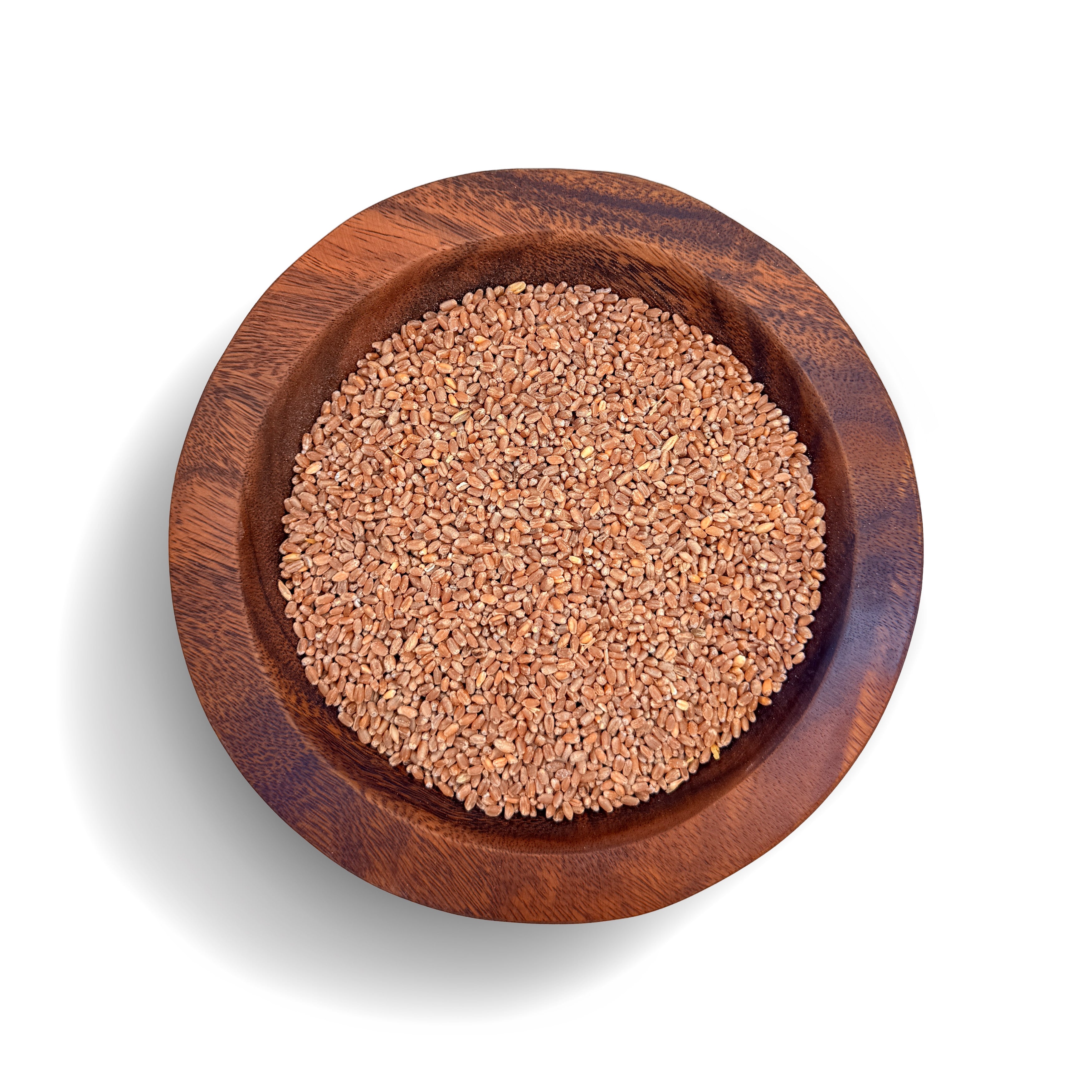 Whole Grain Hard Red Wheat
