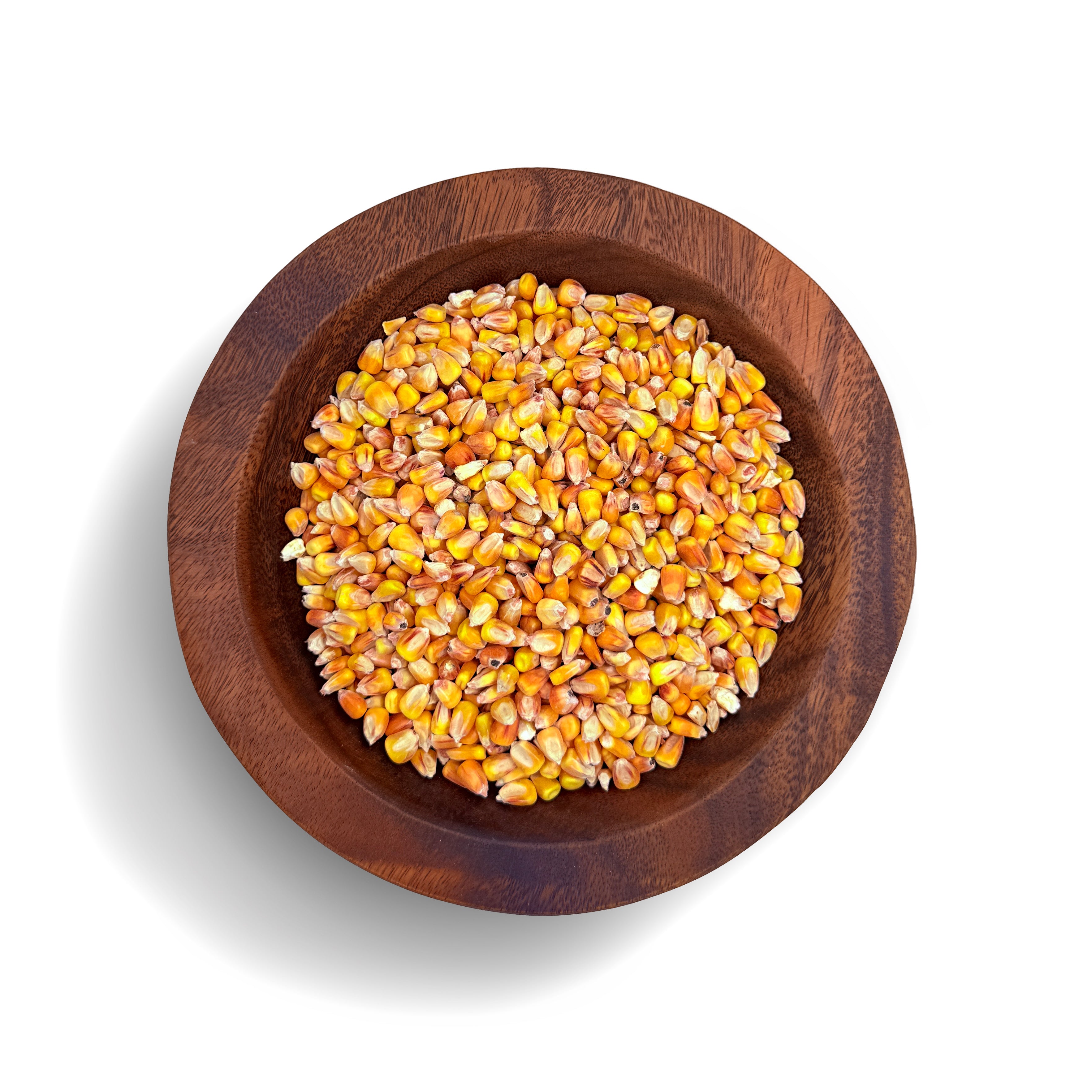 Whole Yellow Dent Corn