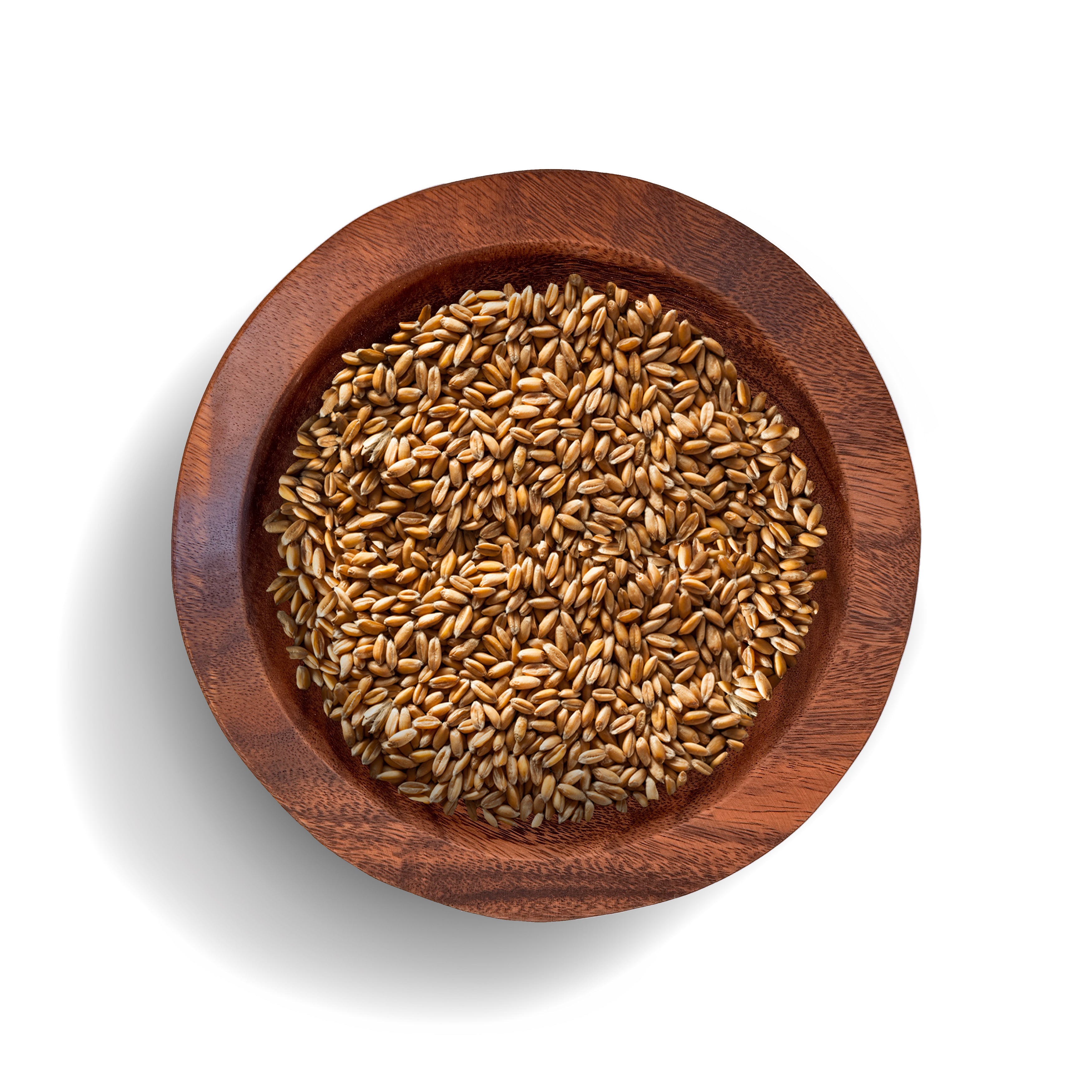 Whole Spelt Grains [Organically Grown]