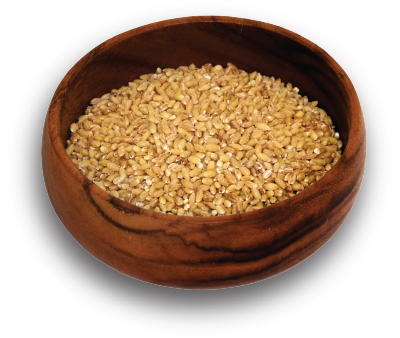 Dehulled Barley