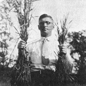 Nat Lindsay showing the difference between fertilized and non-fertilized plot of oats in 1925.