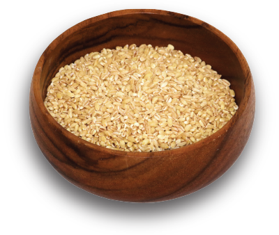 Pot Barley